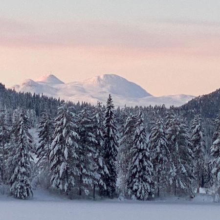 Tuddal Hyttegrend, GAMLESTUGU, Telemark Eksteriør billede