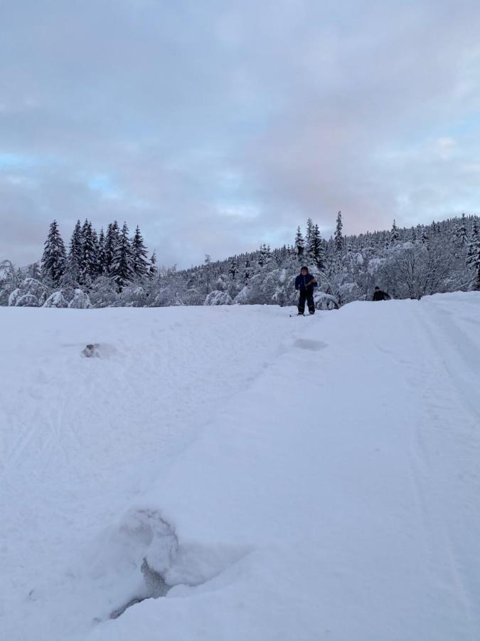 Tuddal Hyttegrend, GAMLESTUGU, Telemark Eksteriør billede