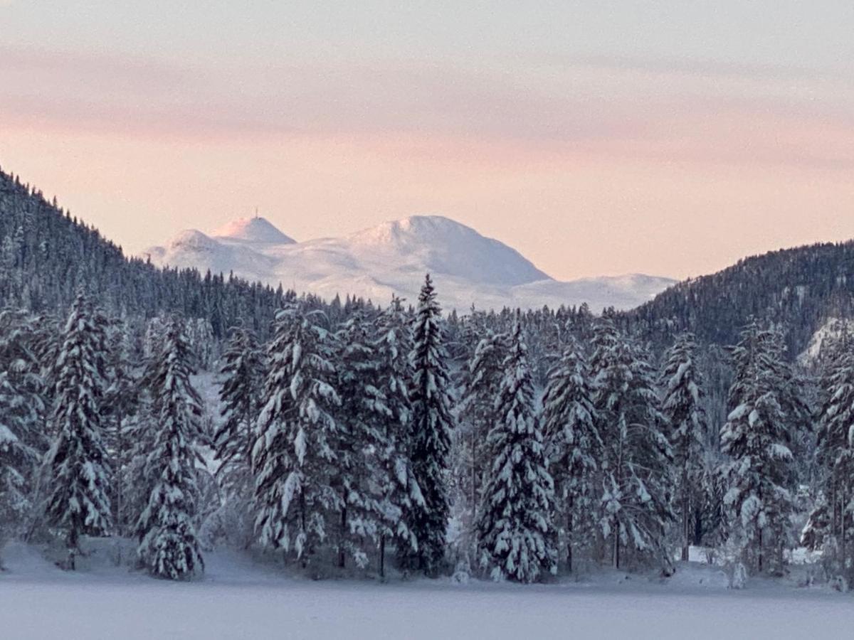 Tuddal Hyttegrend, GAMLESTUGU, Telemark Eksteriør billede